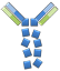 Antibody Fragmentation